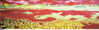 La mer Rouge, HT,  triptyque 219X60, sbg juil 95